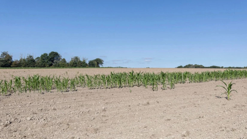 Record-breaking heat this summer will cost the EU economy 180 billion euros – Politico